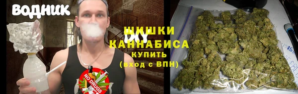 дурь Алзамай