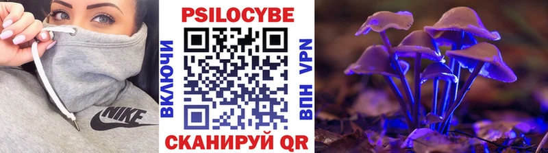 Галлюциногенные грибы Psilocybe  Фрязино 